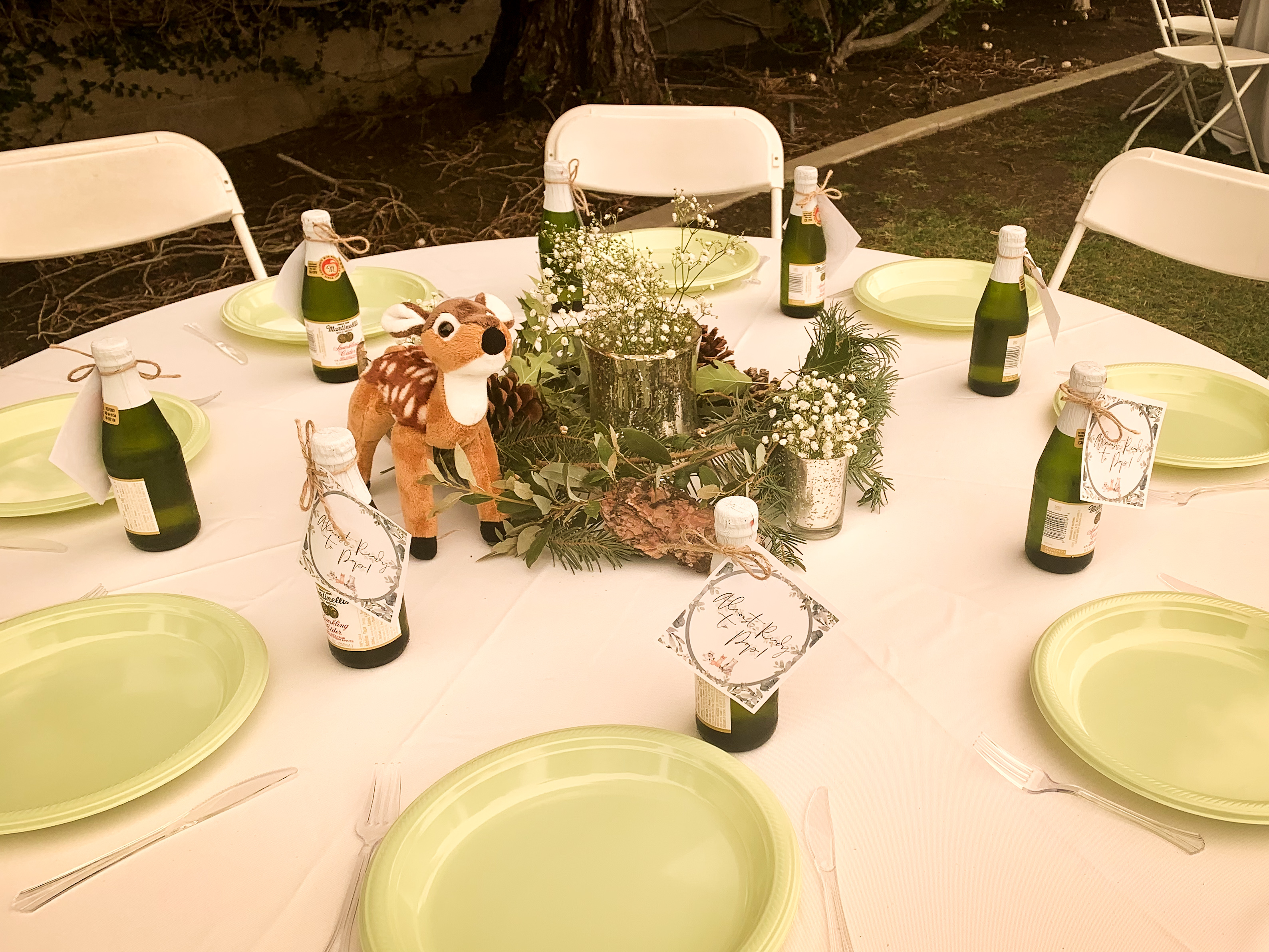 Woodland Themed Baby Shower