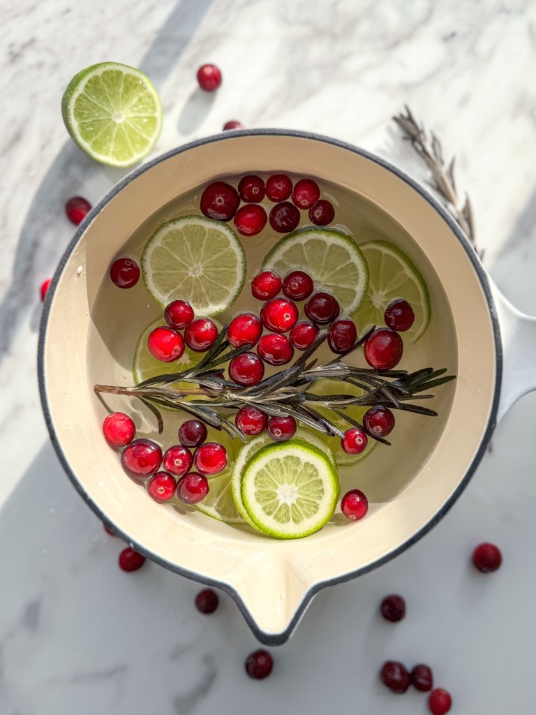 Cranberry Lime Winter Simmer&nbsp;Pot